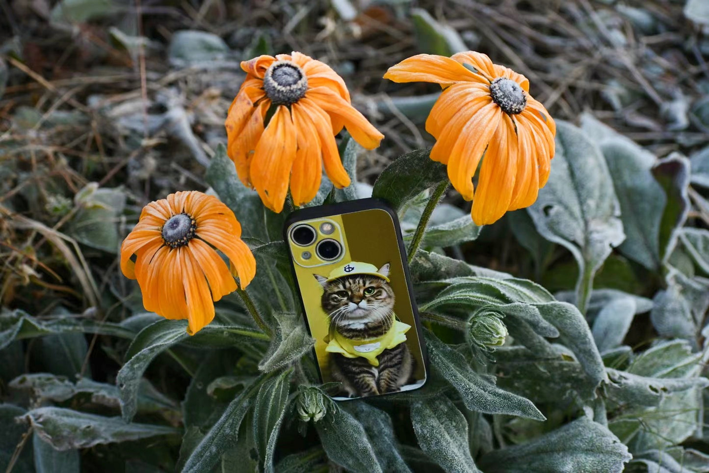 Custom Pet Phone Case - iPhone Series